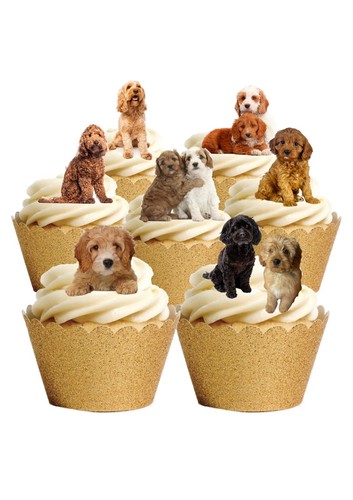 Cake toppers cavapoo - cake,