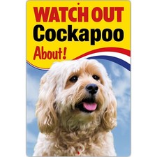 Cockapoo Watch Out Cockapoo