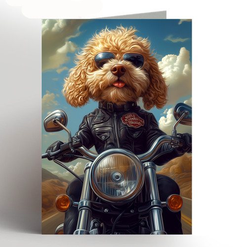 Cockapoo birthday card - ,