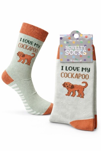 Love cockapoo pet dog - my,