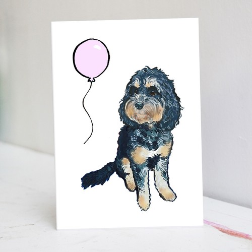 Tricolour cockapoo birthday - tricolour,