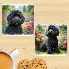 Black Cockapoo Coasters