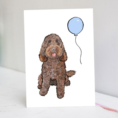 Chocolate cockapoo birthday - cockapoo,