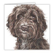 Cockapoo greetings card dog
