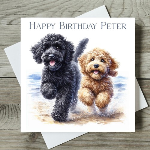 Cockapoo birthday card - birthday,