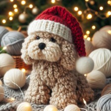 Single Luxury Cockapoo