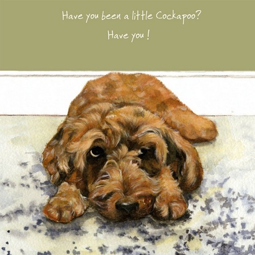 Cockapoo greeting card - cockapoo,