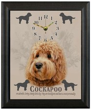 Cockapoo pale brown apricot