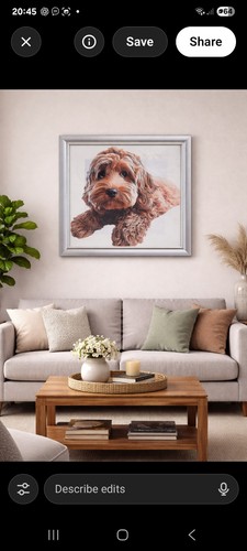 Cockapoo picture - cockapoo,