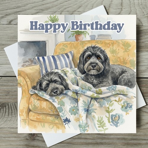 Cockapoo birthday card - cockapoo,