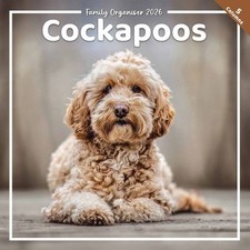 Cockapoo Family Organiser 2026