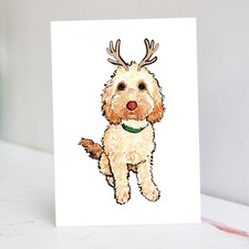 Cockapoo Christmas Card