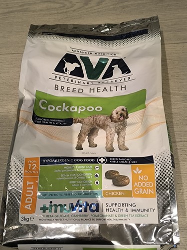 Ava breed health cockapoo dry - ava,